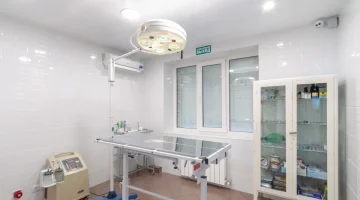 Ветеринарная клиника Ветпрактик на Большой Садовой улице изображение 6