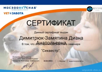 Димитрюк-Замятина Диана Анатольевна